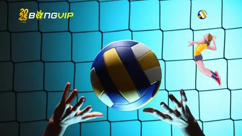 Bóng Chuyền bongvip vn – Môn thể thao đồng đội hấp dẫn