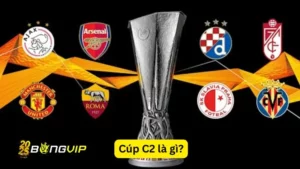 BongVIP Cúp C2 là gì