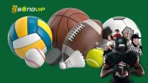 Các Loại Thể Thao Tại Nhà Cái BongVIP