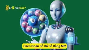 Cách Đoán Số Xổ Số Bằng Mơ Với BongVIP