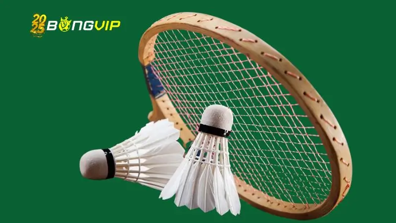 Cầu lông bongvip – Môn thể thao nhanh nhất thế giới