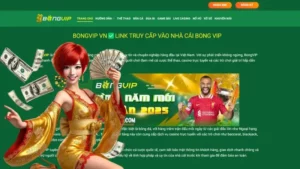 Có Tỷ Lệ Cá Cược Thắng Cao Tại BongVIP