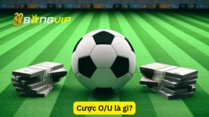 Cược O/U là gì?