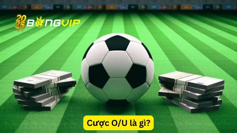 Cược O/U là gì?