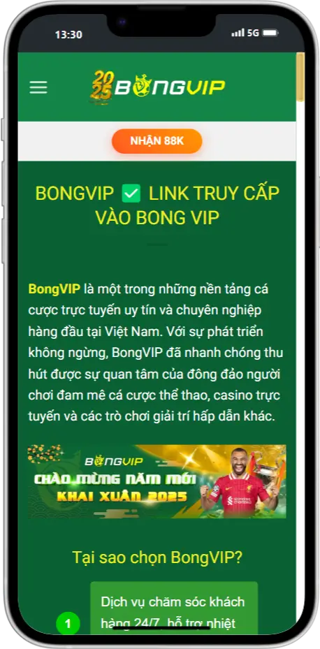 Giao diện thiết bị di động BongVIP