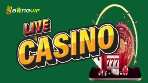 Live Casino Là Gì
