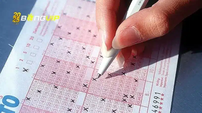 Xổ Số Tự Chọn (Xổ Số Chọn Ngẫu Nhiên)