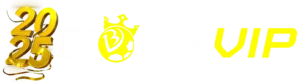 bongvipvn